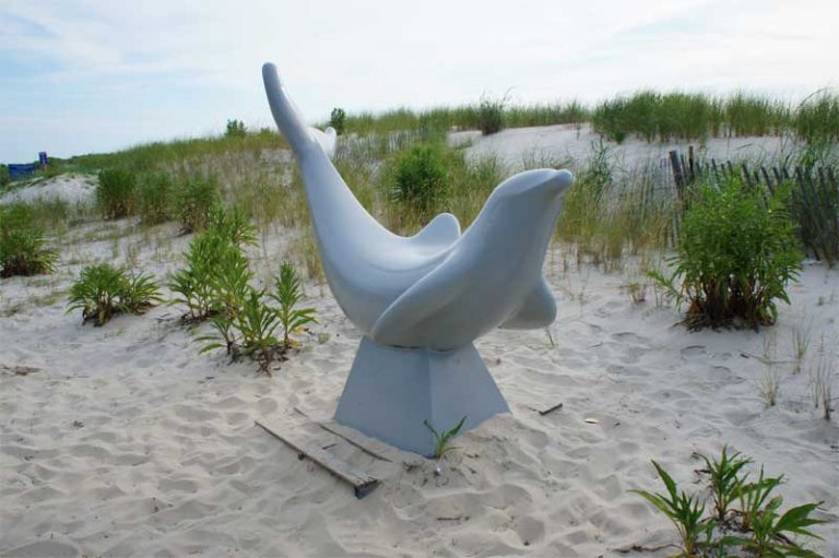 dolphin_july16