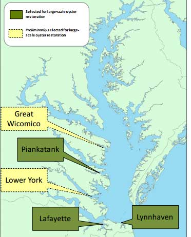 2016-Oyster-Restoration