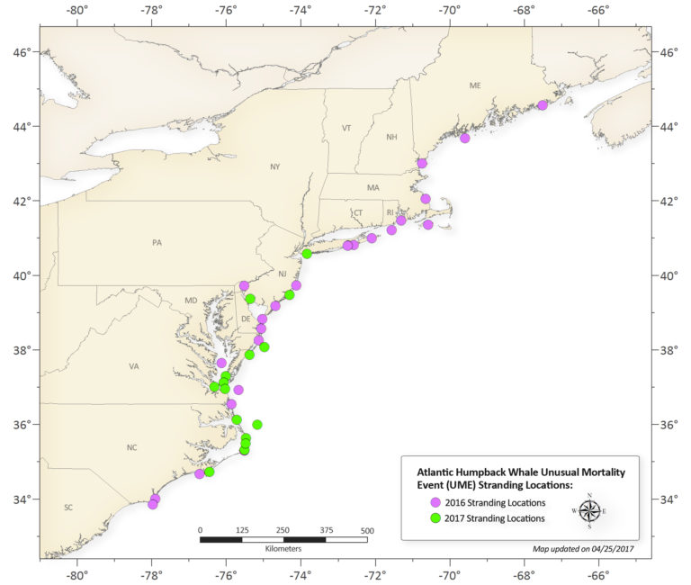 humpbackstrandingmap