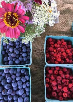 4th_farmers_mkt_2017