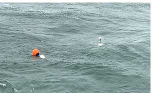 noaa_drifters