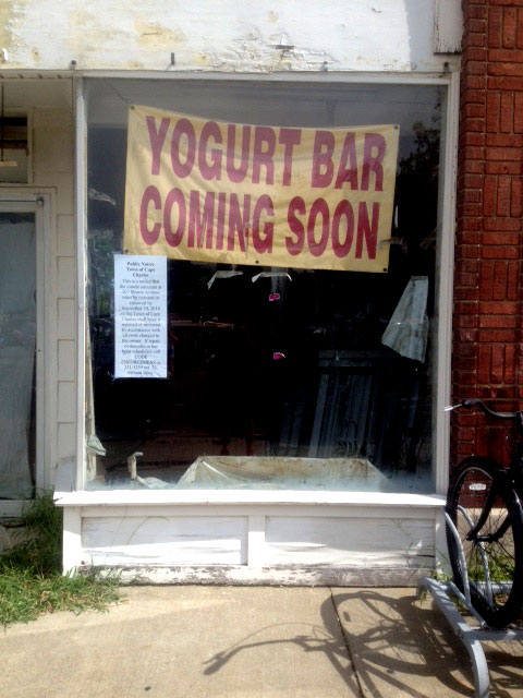 yogurt1