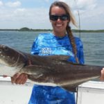 cobia