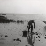 oyster-fisherman-1950-lg