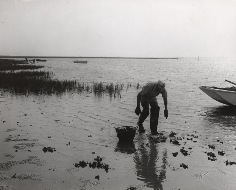 oyster-fisherman-1950-lg