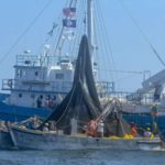 menhaden_Omega