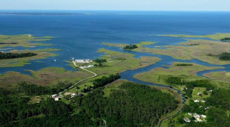 Chesapeake_Bay