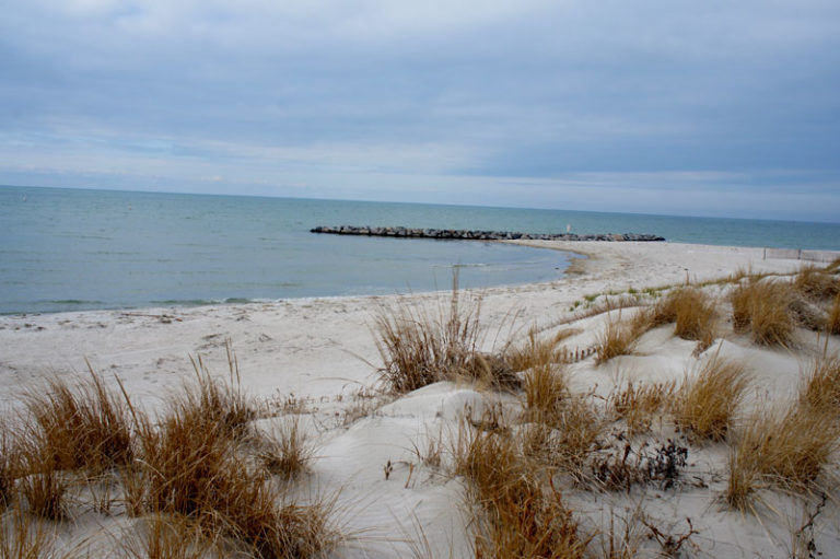 cc_beach_feb_02b