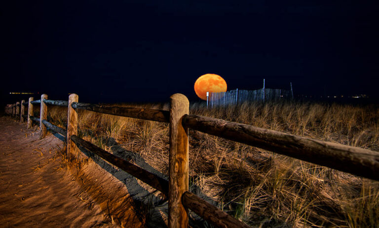 moon4