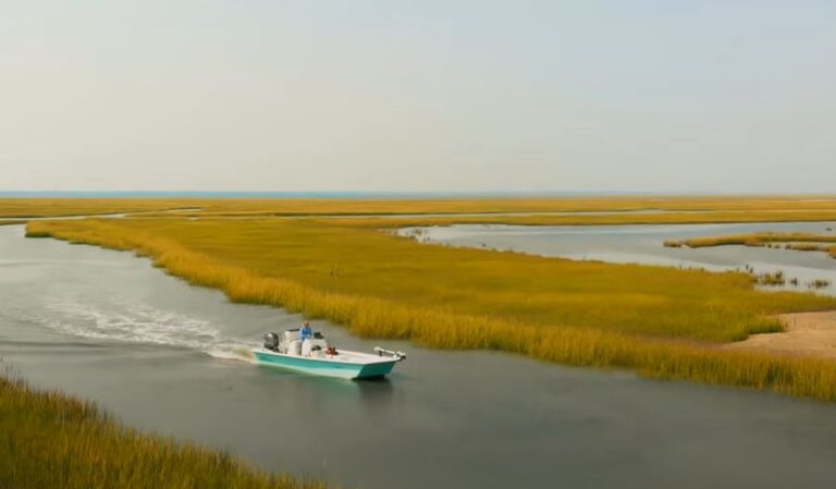 myrtle_island_bay