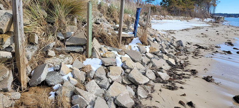bay_creek_mitigation_2