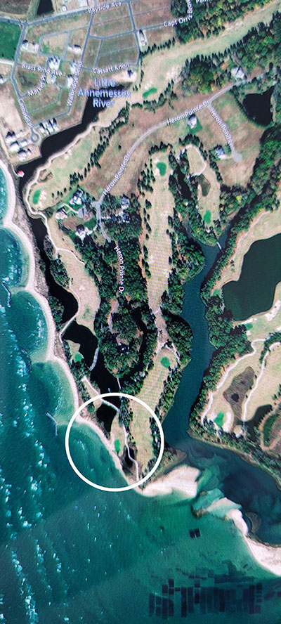 bay_creek_mitigation_3