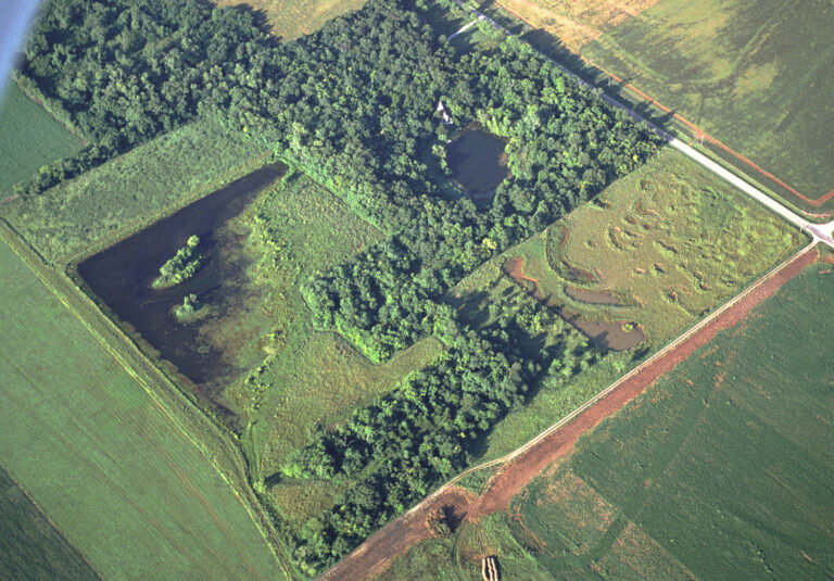 wetlands_aerial