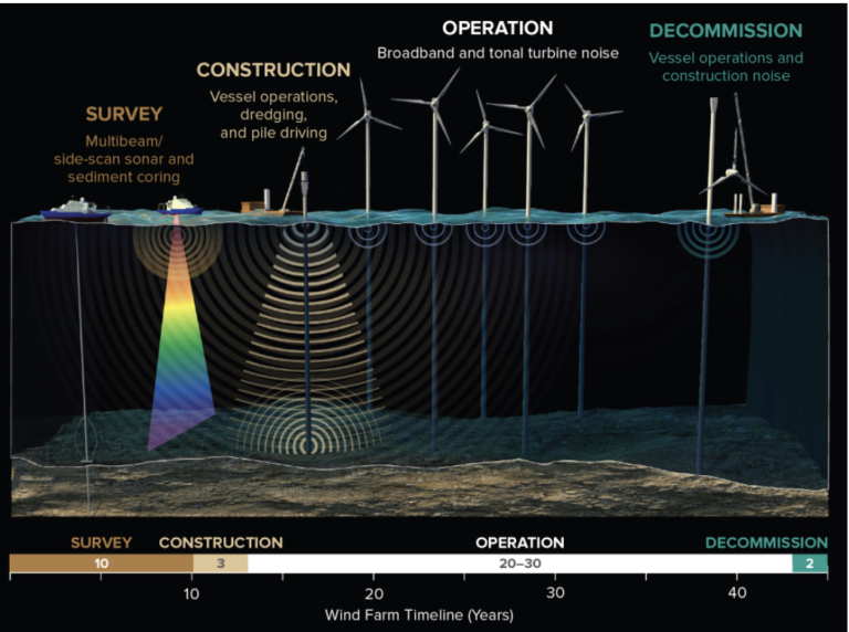 wind-farm-sonar-high-intesnsity
