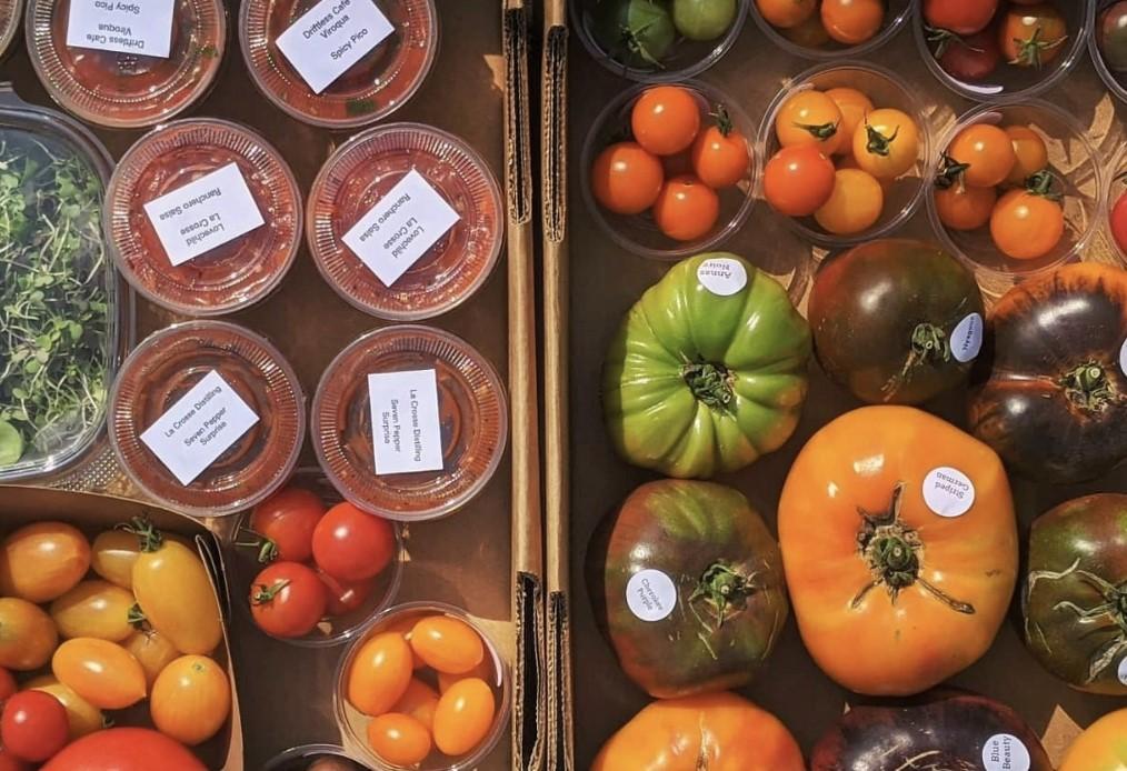 Women in Farming Deep Rooted Organics CAPE CHARLES MIRROR