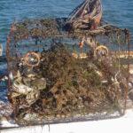 Derelict Crab Trap