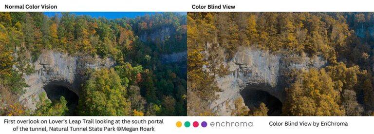 colorblind