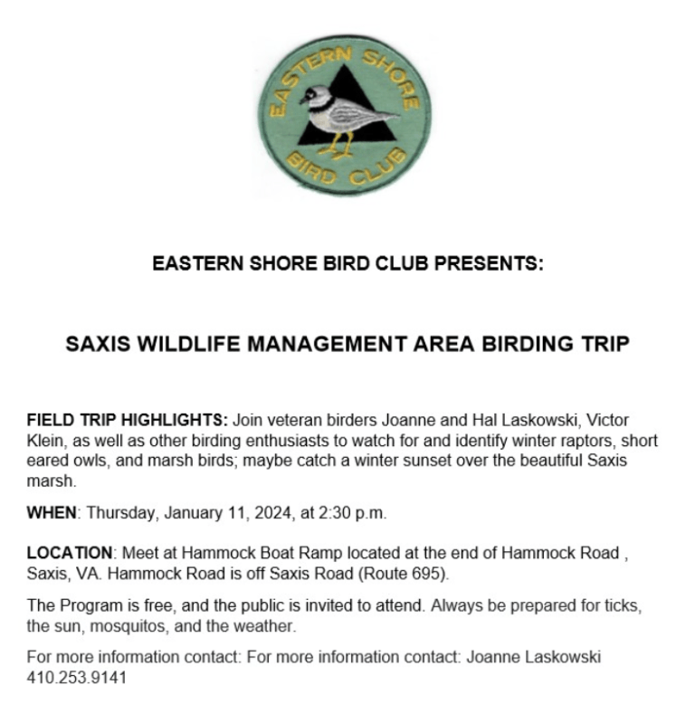 bird_club_saxis