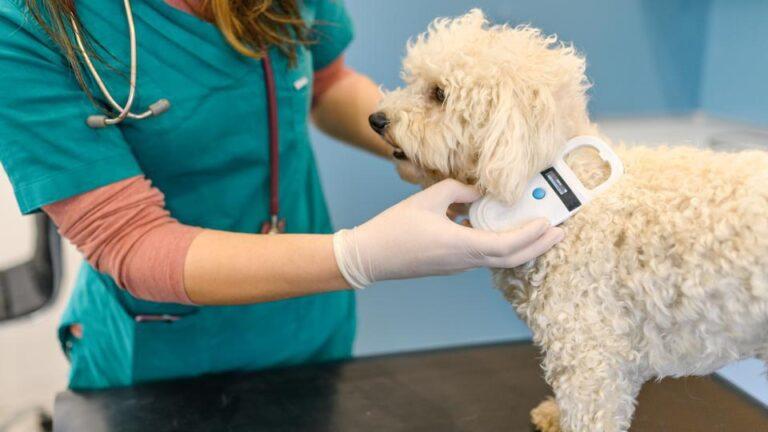 microchip