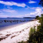 Beach_cape_charles_88