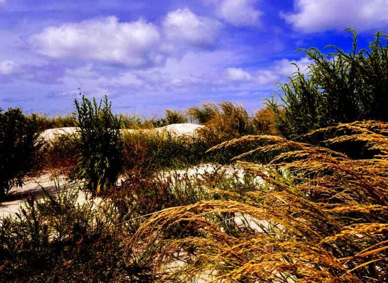 Cape_charles_beach_sept24b-