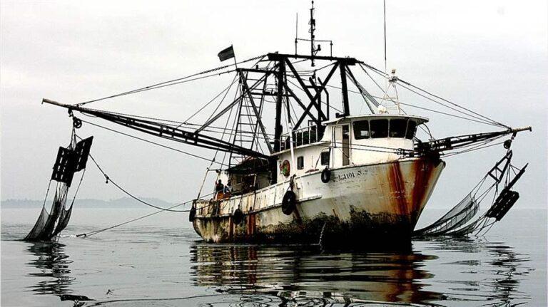 illegal fishing boat