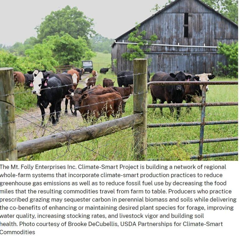 farm-usda-resilient_food