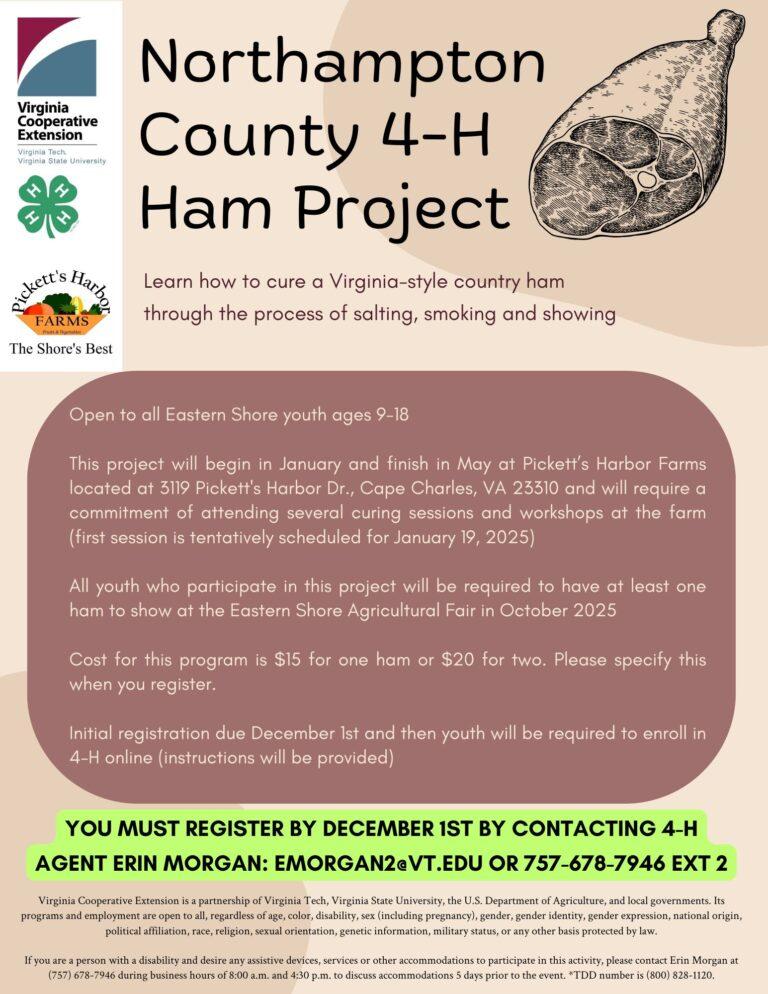 4-H Ham Project 2025