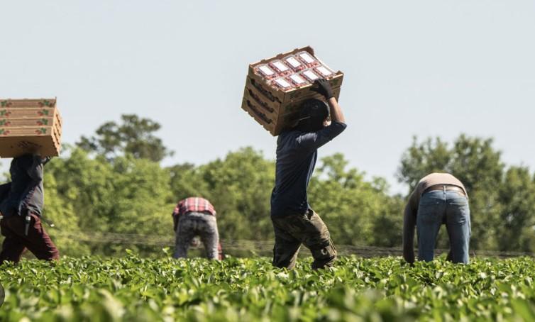 farm_workers