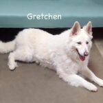 gretchen