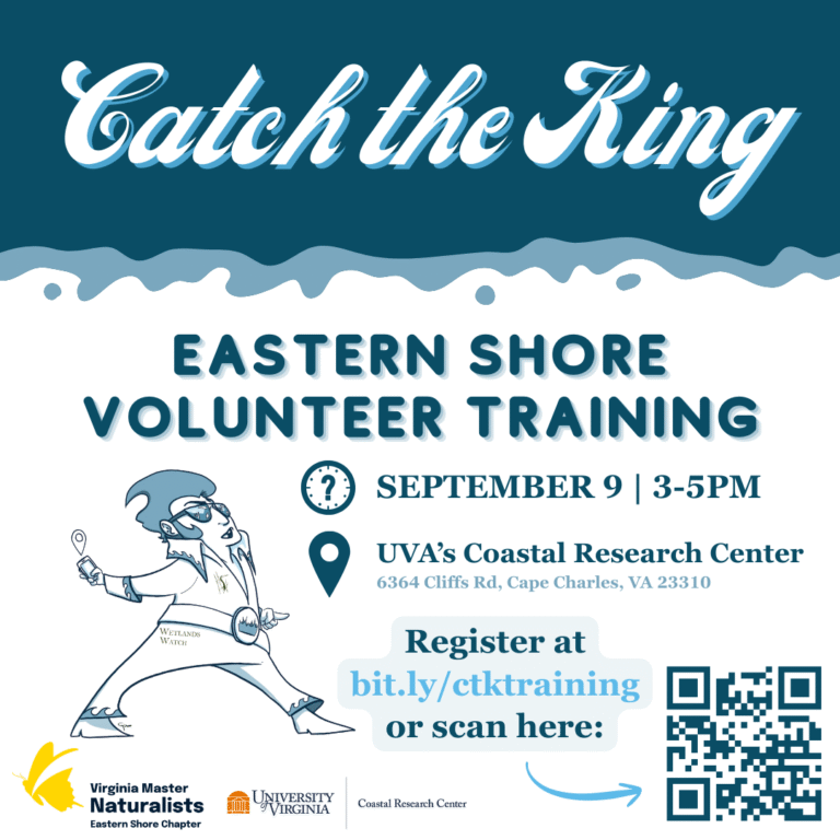 Eastern Shore