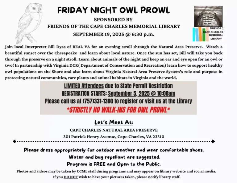 9.19.25_owl_prowl.png