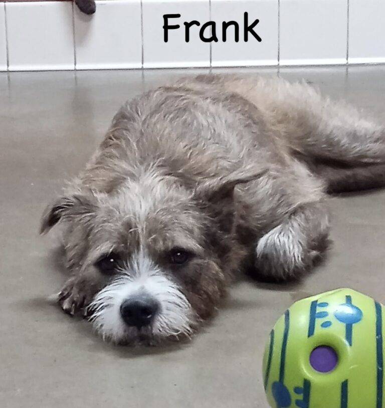 Frank