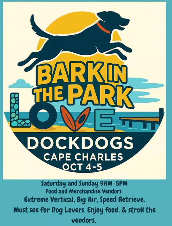 dockDogs
