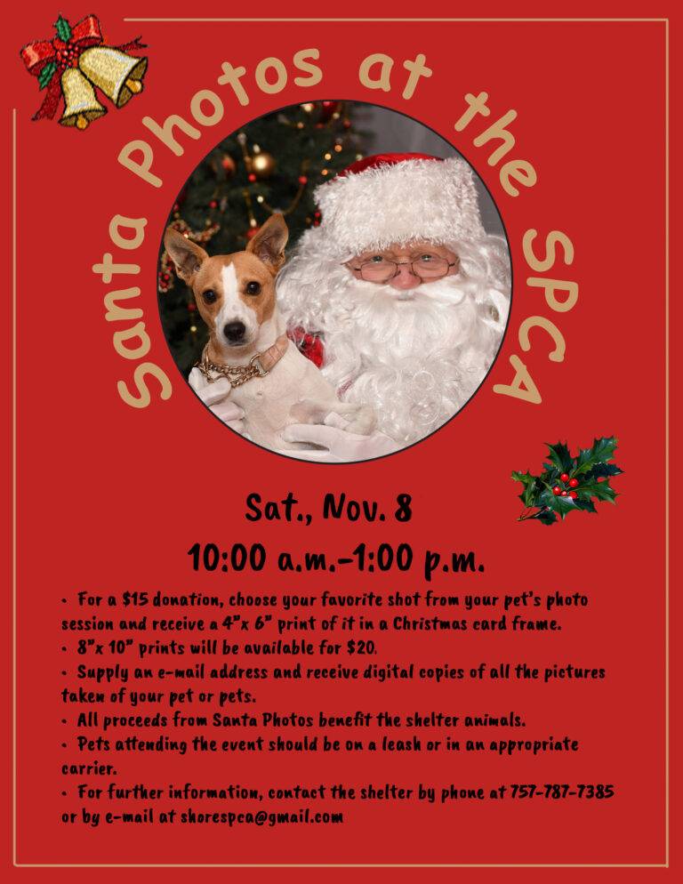 2025 SPCA Santa Photos Flyer