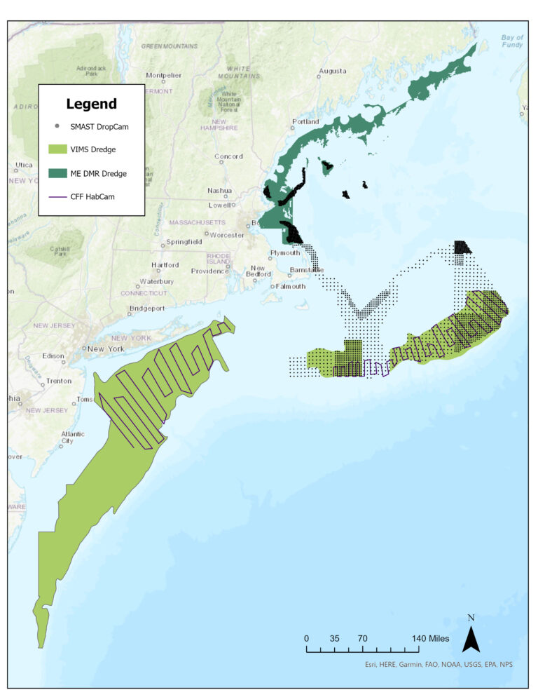 2024-Scallop-RSA-Surveys-2-