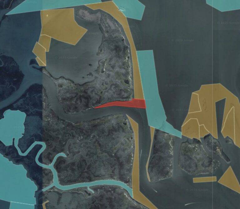 Wachapreague_oyster_app