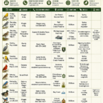 ES_Birding_Schedule_thru_June26