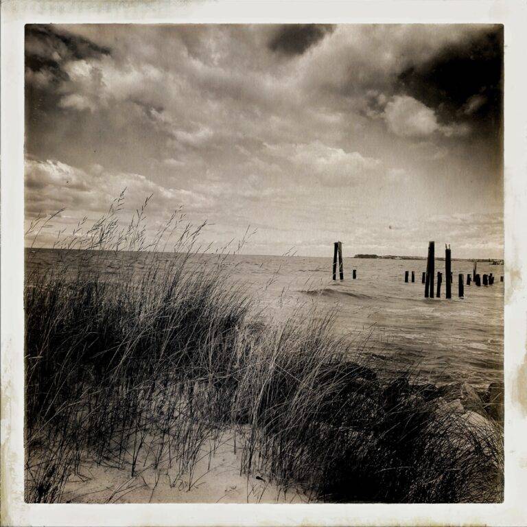 Beach_chesapeake