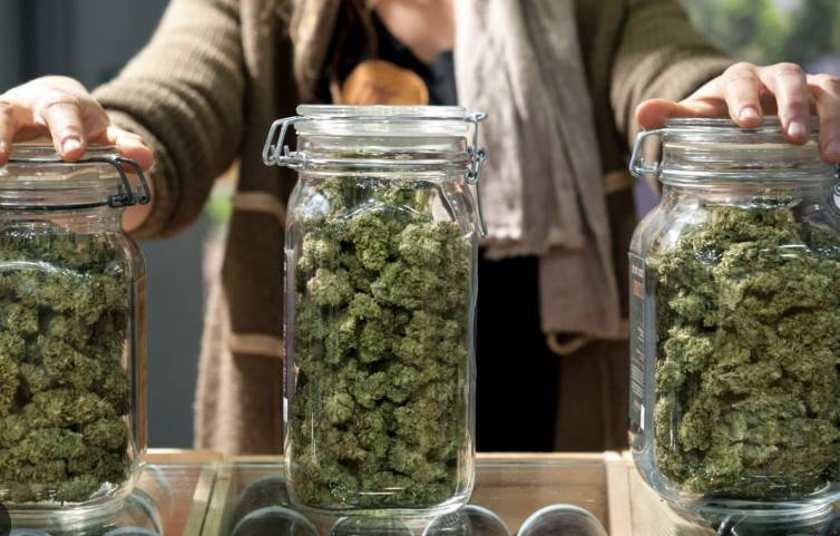 Marijuana_weed