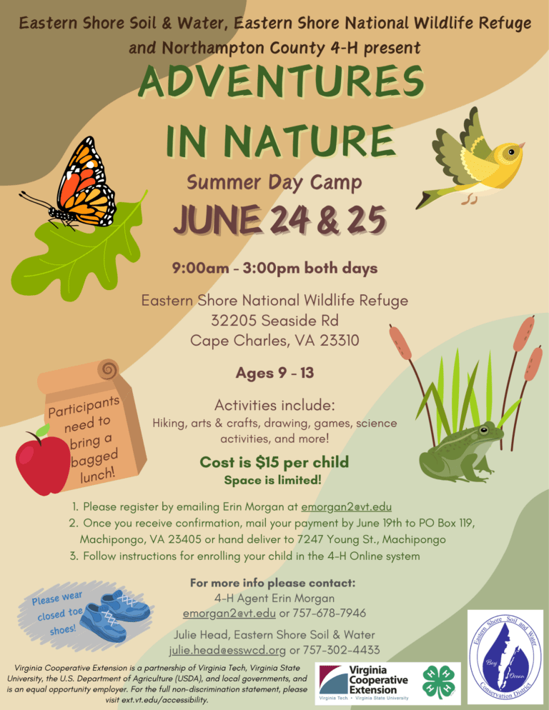 2025 Adventures in Nature Summer Camp Flyer