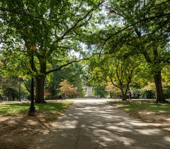 Trees_Lincoln_Park_DC