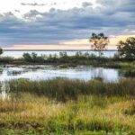 WETLANDS_USDA