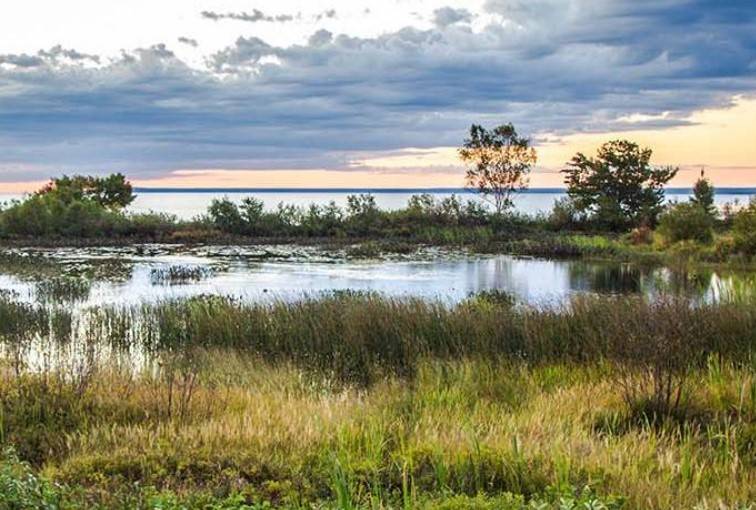 WETLANDS_USDA