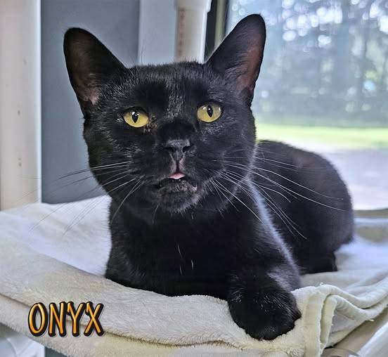 Onyx