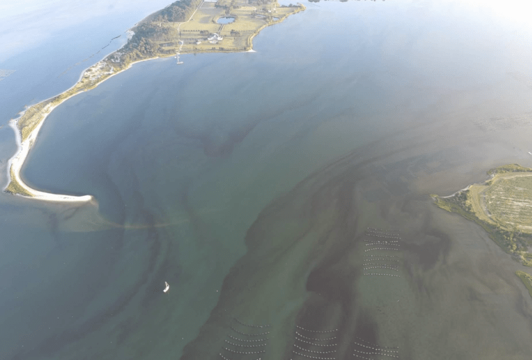 Red tide